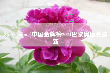 余江中国金牌榜2024巴黎奥运会最新