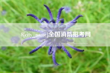 余江全国消防招考网