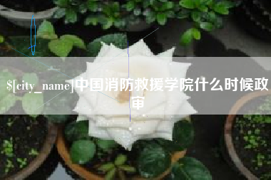 余江中国消防救援学院什么时候政审