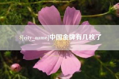 余江中国金牌有几枚了