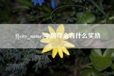 余江中国夺金有什么奖励
