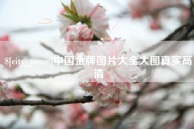余江中国金牌图片大全大图真实高清