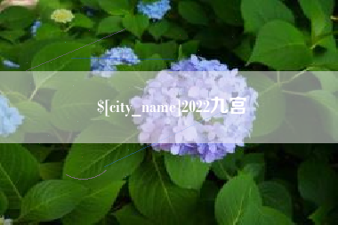 余江2022九宫
