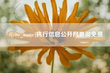 余江执行信息公开网查询免费