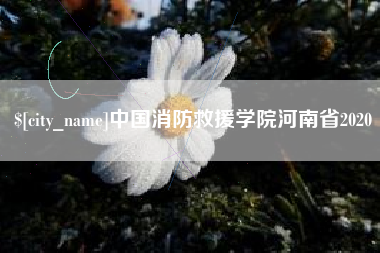 余江中国消防救援学院河南省2020